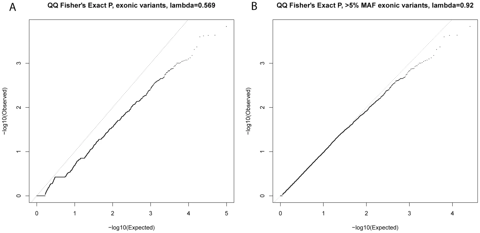 QQ plots of single-variant association test statistics for all exonic variants (A) and for exonic variants with MAF&amp;gt;5% (B).
