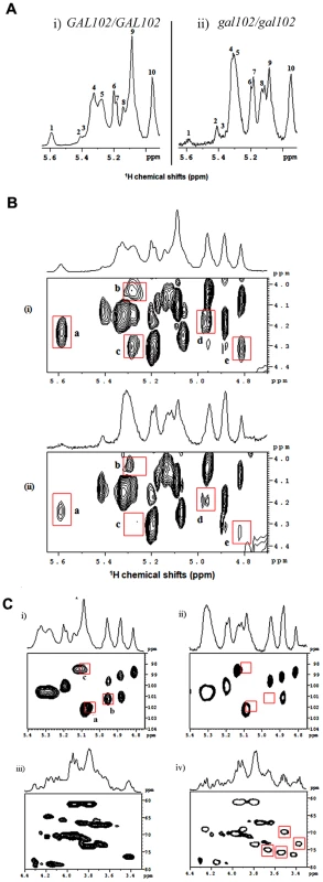 Deletion of the <i>GAL102</i> affects cell wall mannan composition.