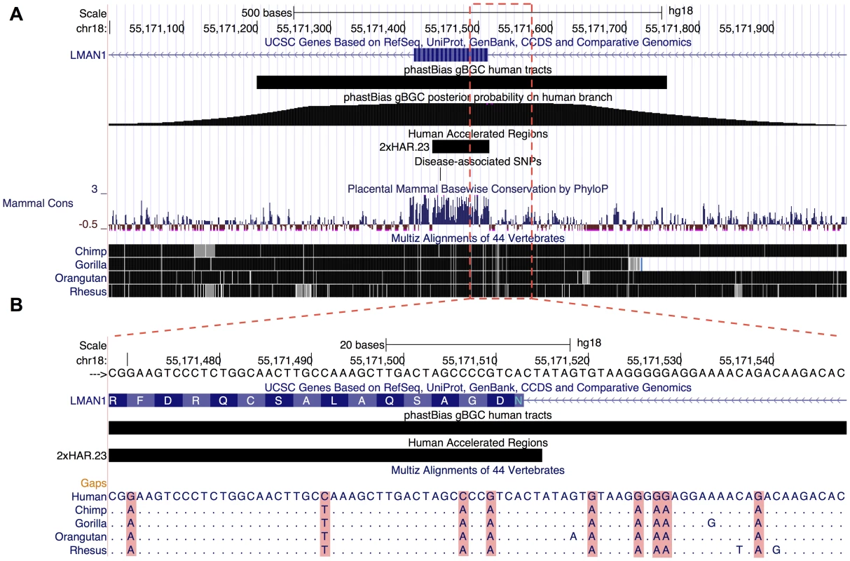Illustration of genome browser track.
