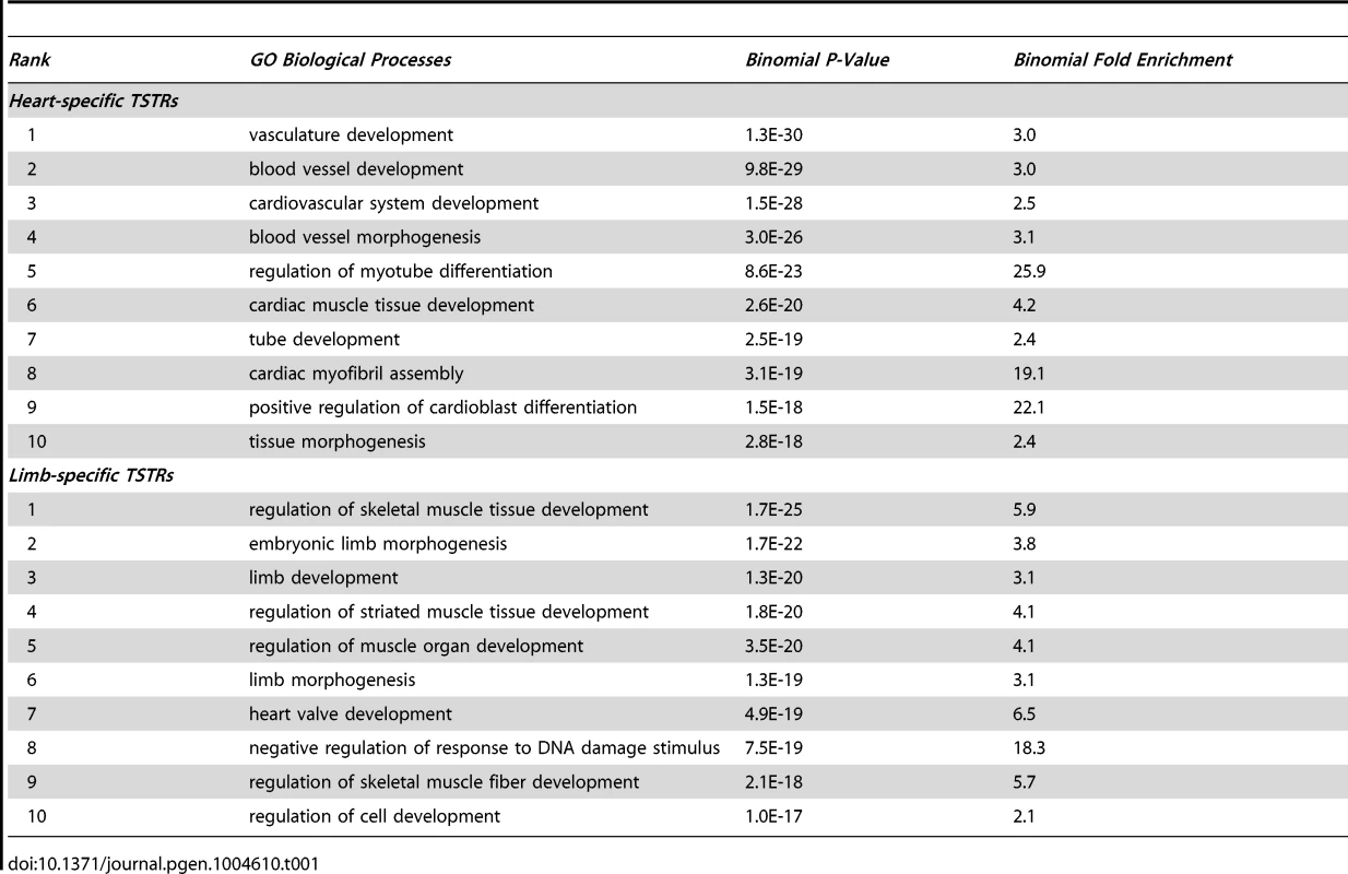 Top 10 GO biological processes enriched in genes nearby TSTRs (sorted by p-value).