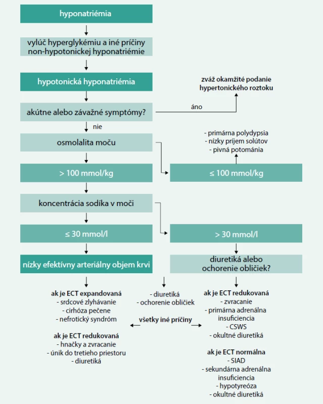 Diagnostický algoritmus. Upravené podľa [11]