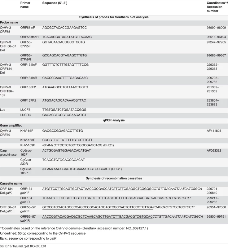 Primers used in this study.