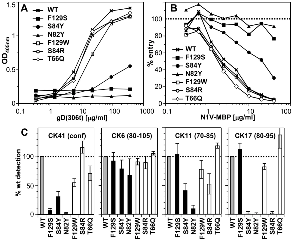 Effect of nectin-1 mutations on binding to gD.