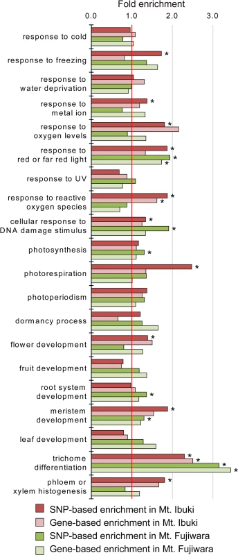 Enrichment analyses of the selected Gene Ontology terms.