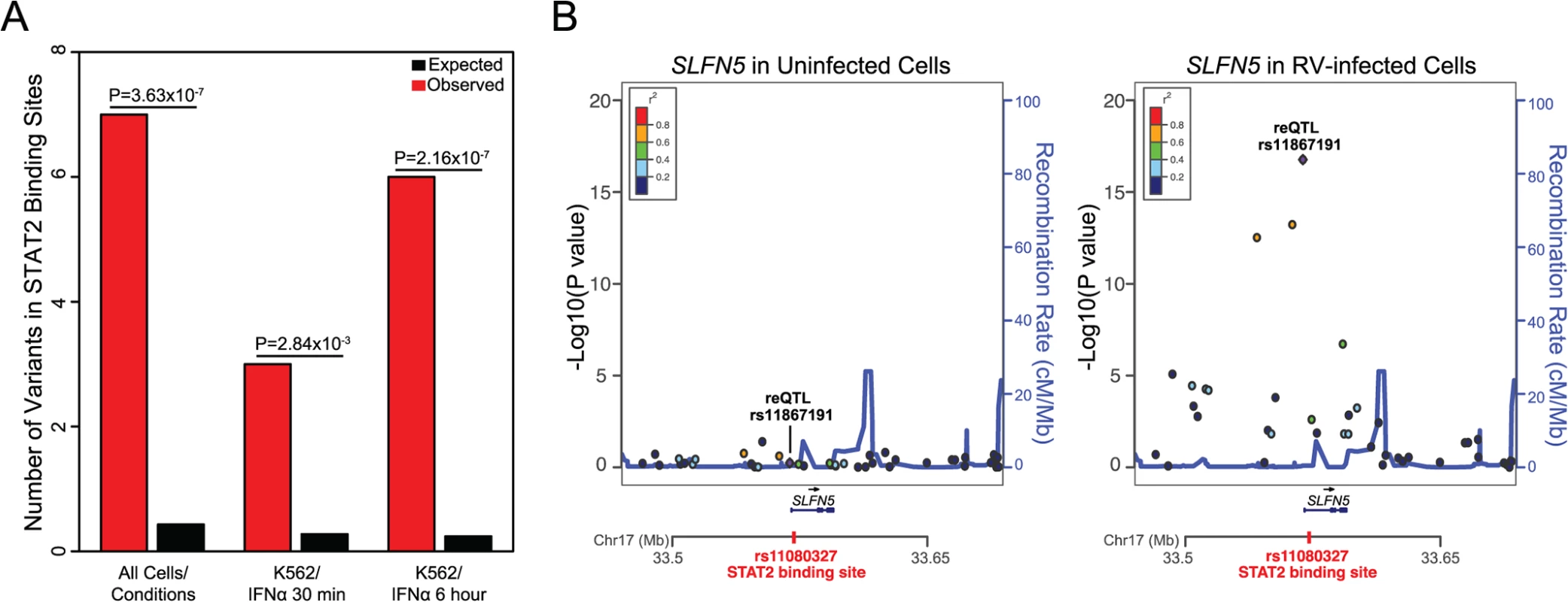 STAT2 binding sites are enriched among reQTL loci.