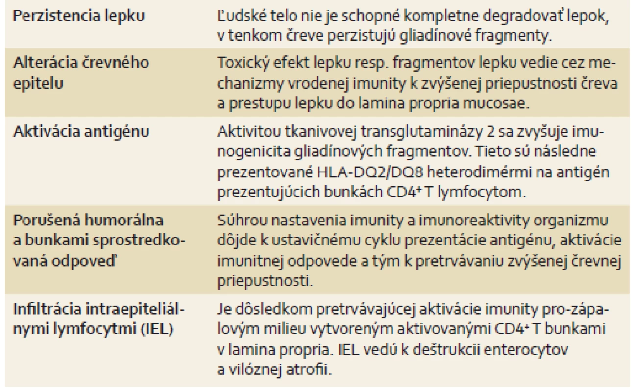 Päť hlavných krokov nevyhnutných pre rozvoj celiakie.
Tab. 1. Five major steps necessary for the development of celiac disease.