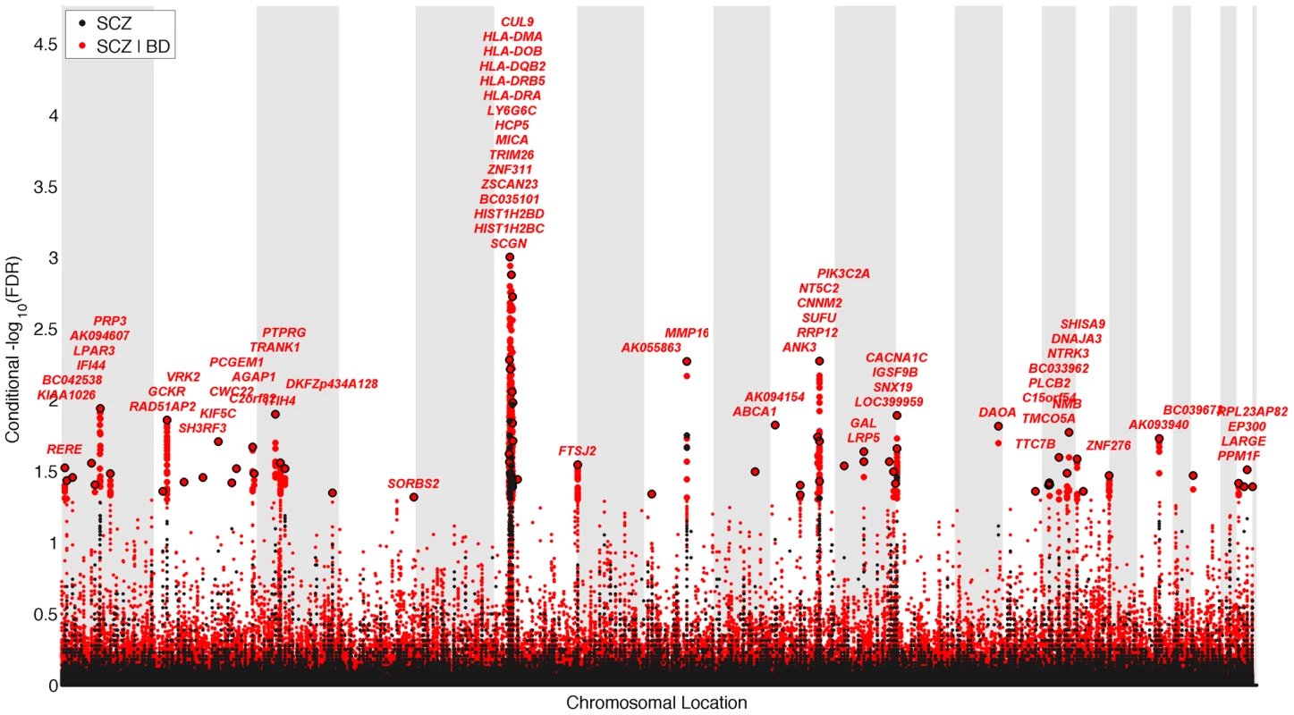 “Conditional Manhattan plot” of conditional −log<sub>10</sub> (FDR) values for schizophrenia (SCZ) alone (black) and SCZ given bipolar disorder (BD; SCZ|BD, red).