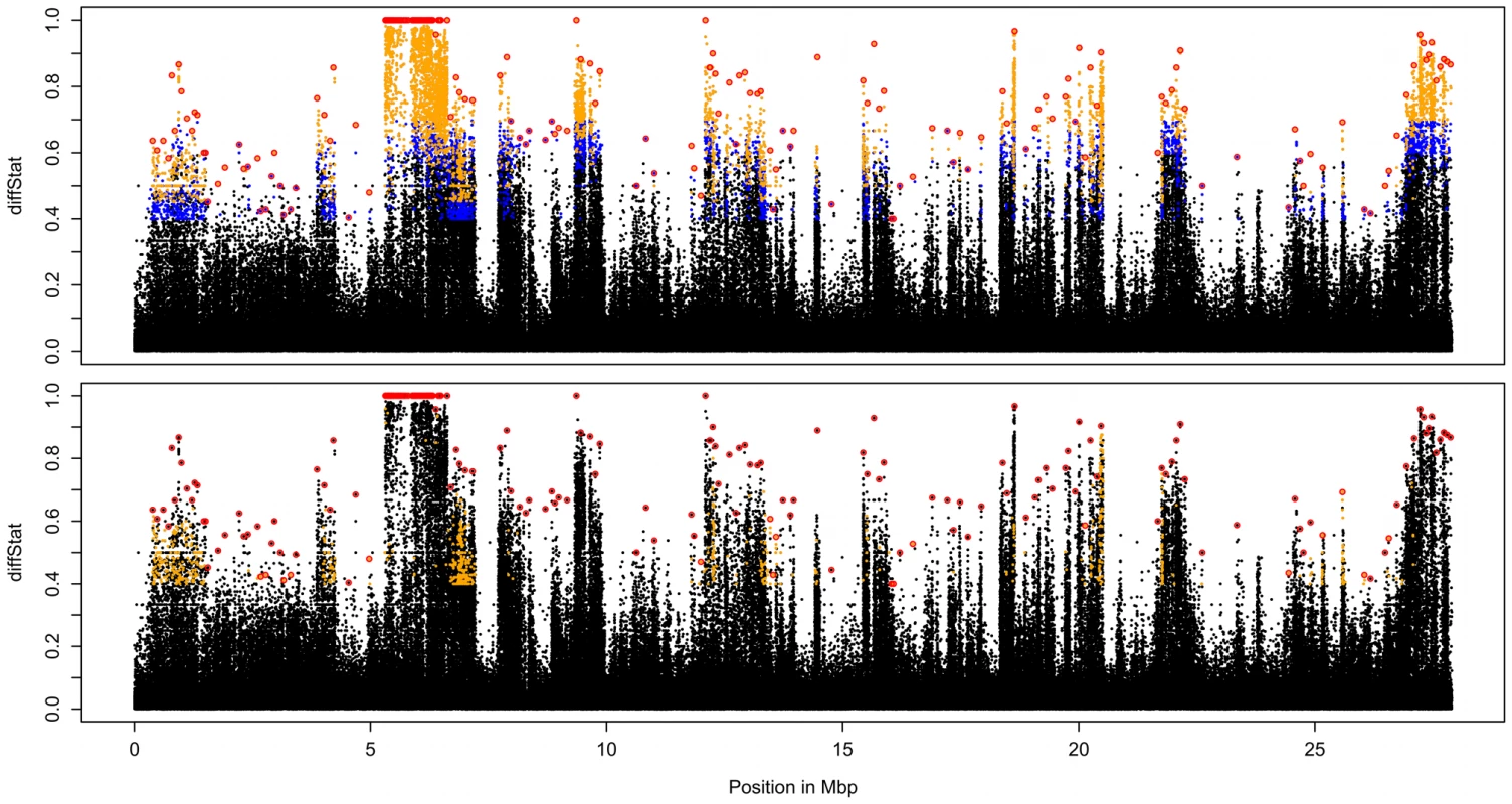 Differentiation on chromosome arm 3R.