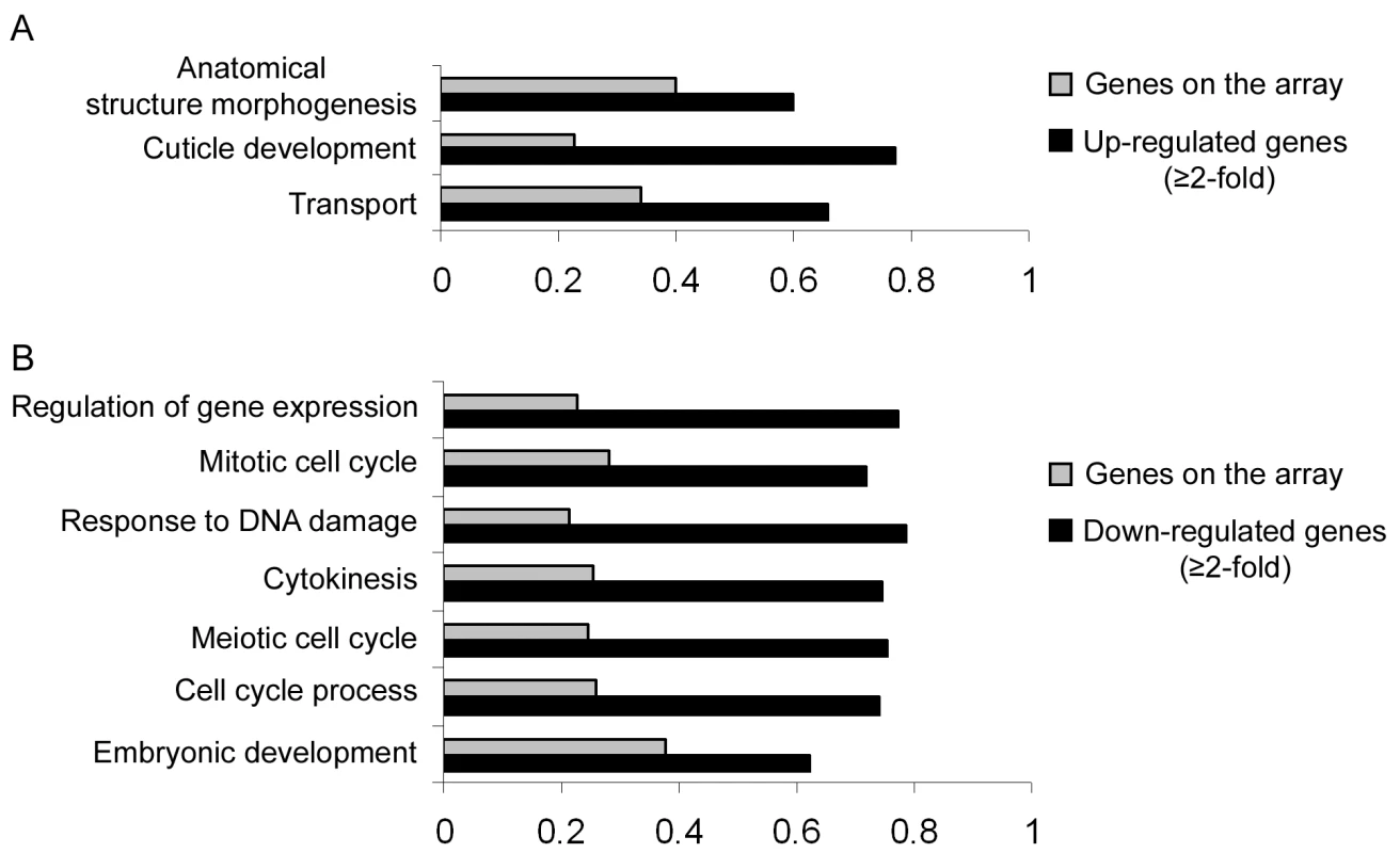 Direct and indirect roles of miR-243.