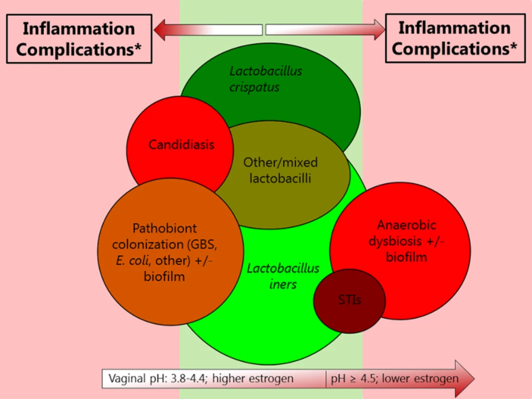 Visualization of interrelationships among various urogenital conditions involving micro-organisms.