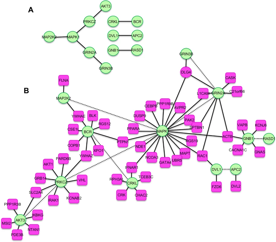 Molecular pathways serially identified among patients with microcephaly phenotypes in two large cohorts.