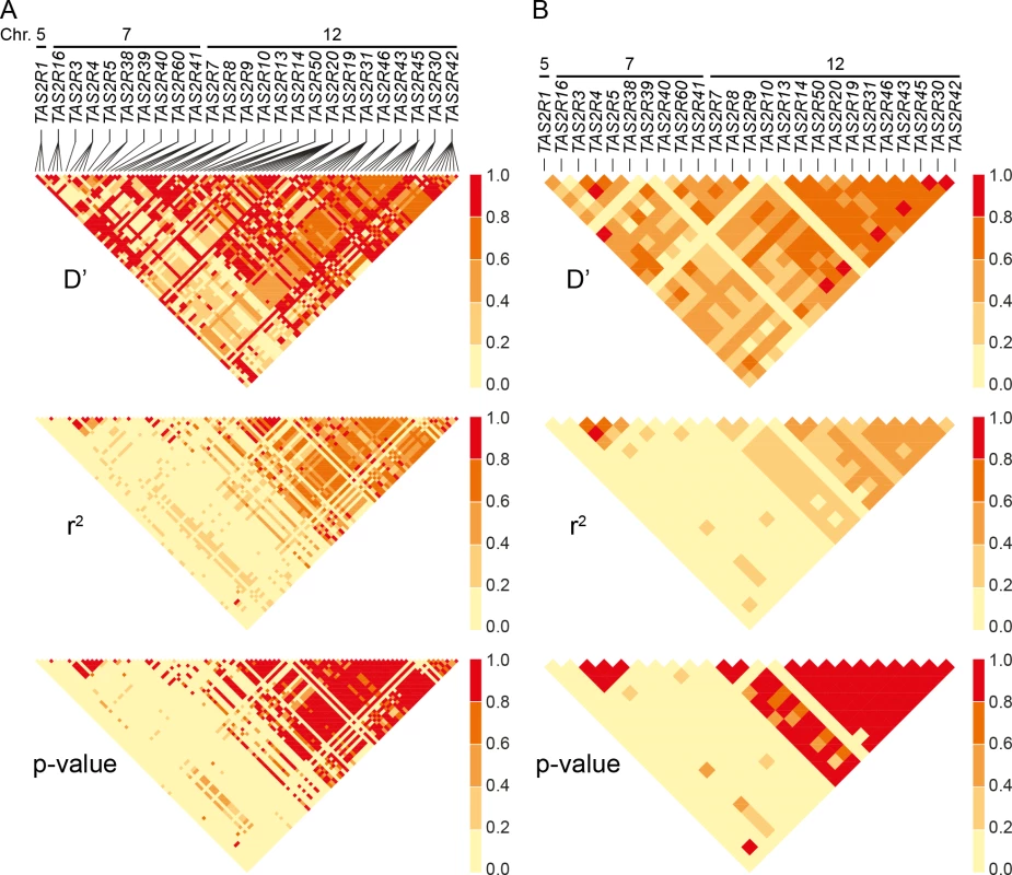 Linkage disequilibrium across SNPs and genes.