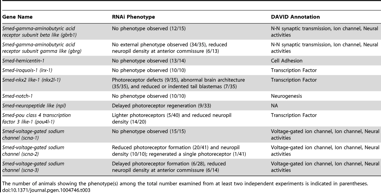 Functional analysis of genes downregulated following <i>coe</i> RNAi.
