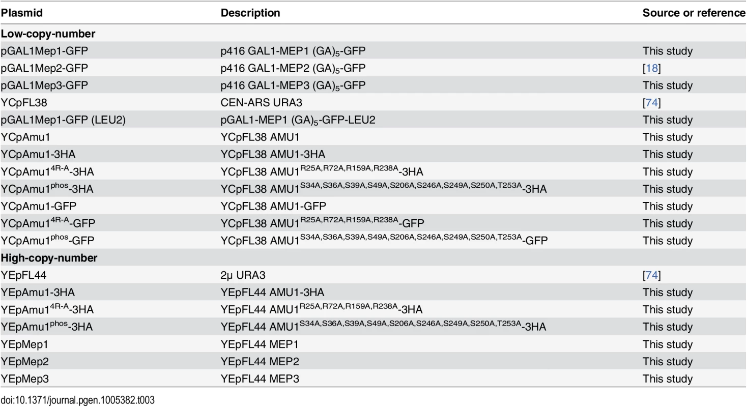 List of plasmids used in this study.