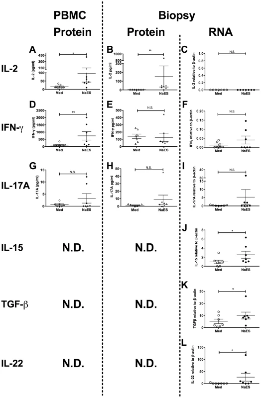 Systemic and mucosal hookworm specific immune responses.