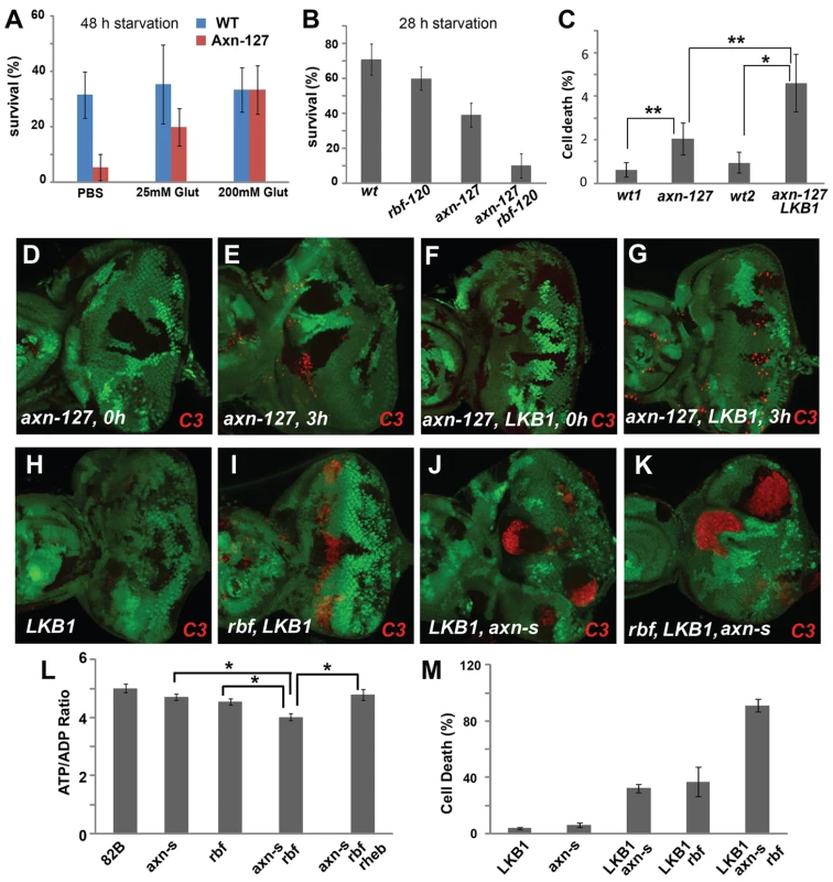 <i>axn</i> mutants are hypersensitive to fasting and energy deficiency.
