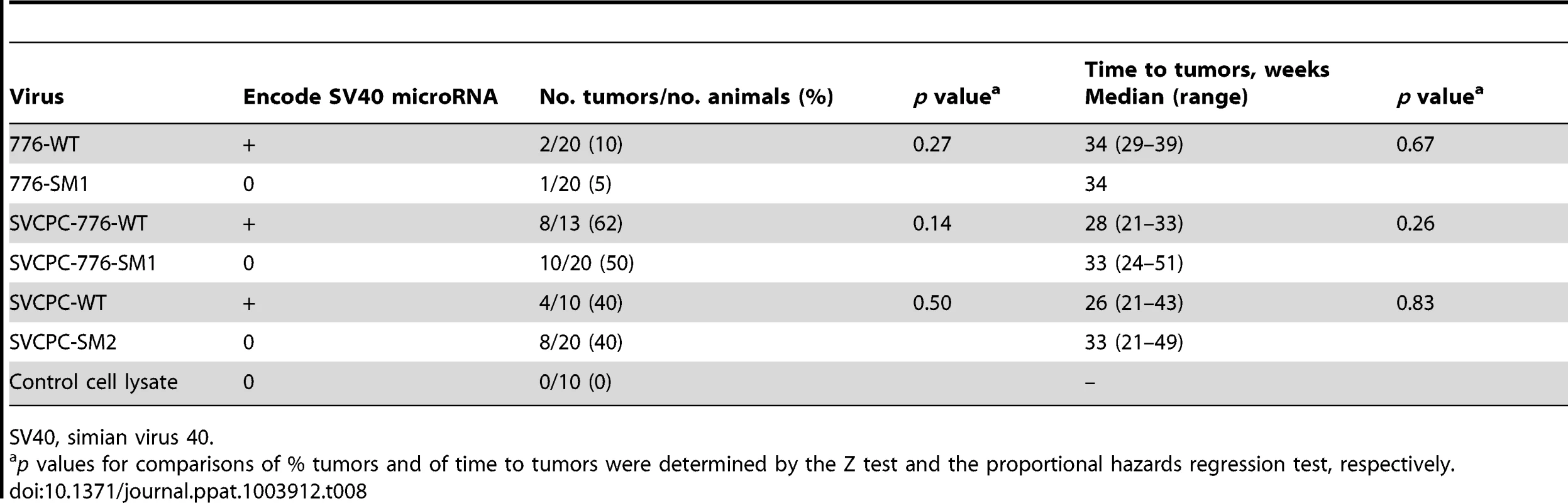 Lack of effect of SV40 microRNA on tumor development in Syrian golden hamsters following intraperitoneal inoculation.