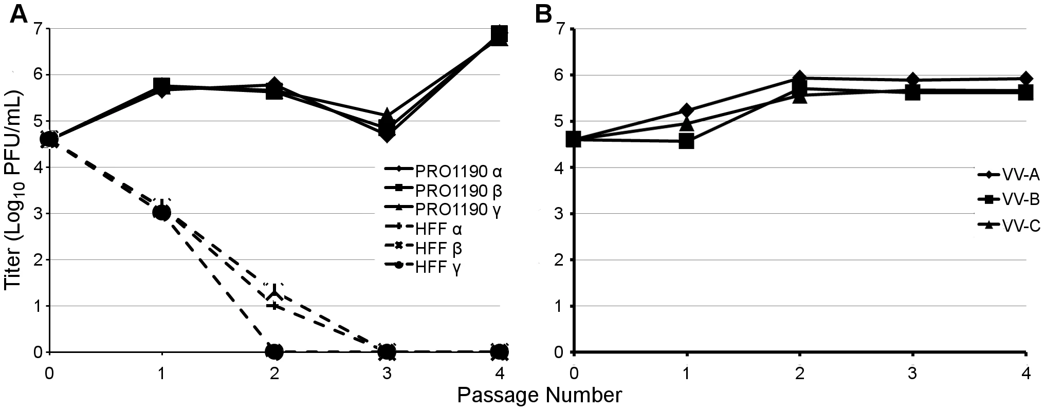 PRO1190-adapted viruses, but not VVΔEΔK+RhTRS1, stably replicate in HFF.