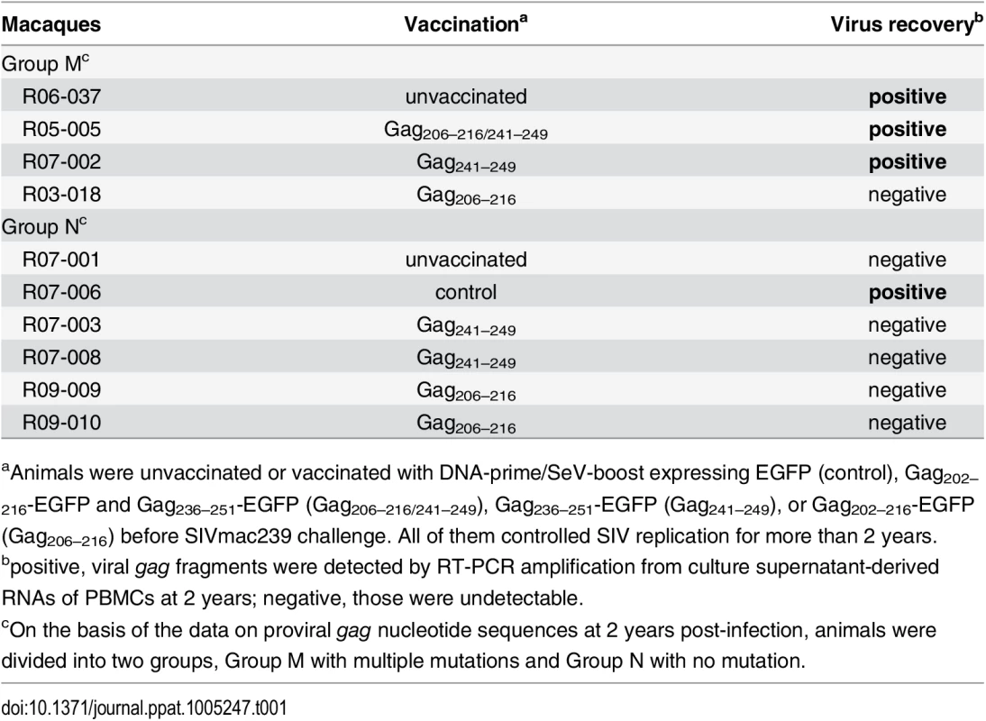 SIV controllers analyzed in this study