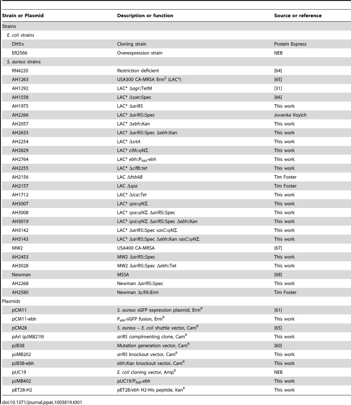 Strains and plasmids.