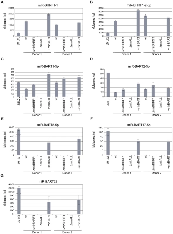Absolute quantification of EBV-encoded miRNAs in established LCLs infected with prototype 2089 or miRNA-mutant EBVs.