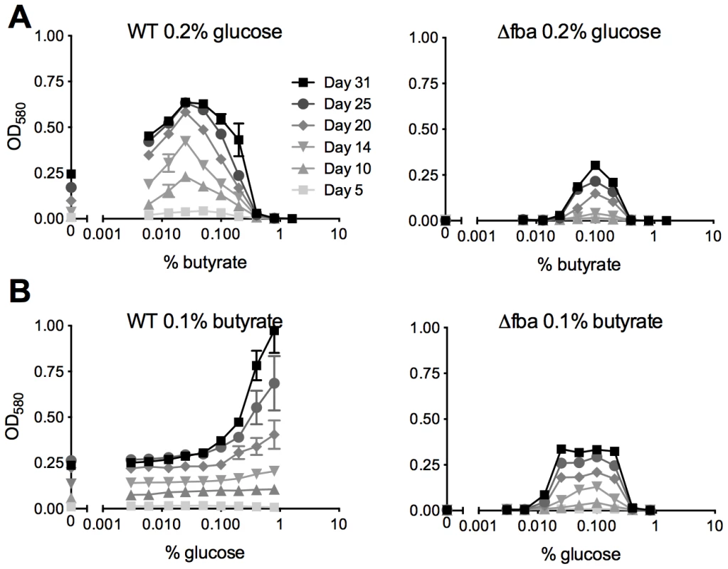 <i>Mtb</i> lacking FBA requires a balanced carbon diet for growth.