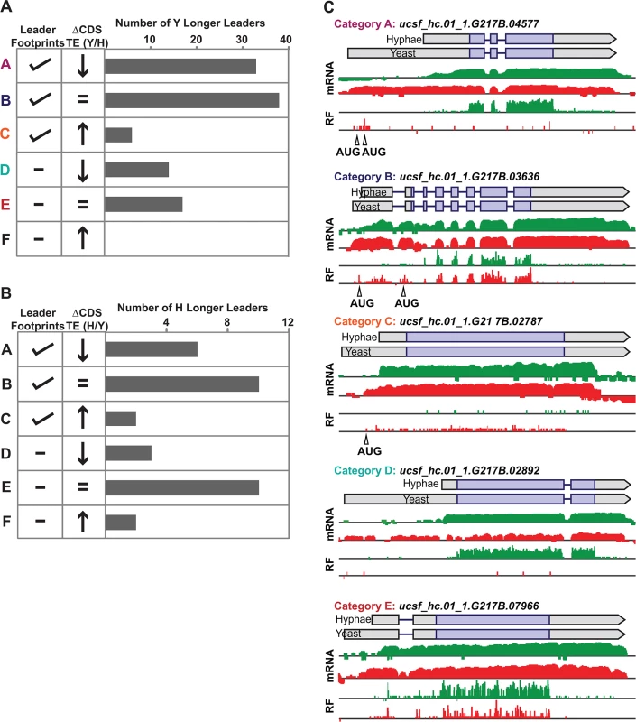Ribosome footprint density patterns suggest categories of translational regulation for longer leader transcripts.