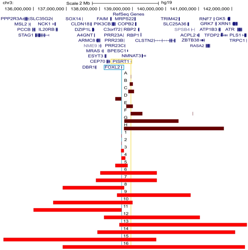 Overview of the delineated regulatory and <i>FOXL2</i> encompassing deletions.