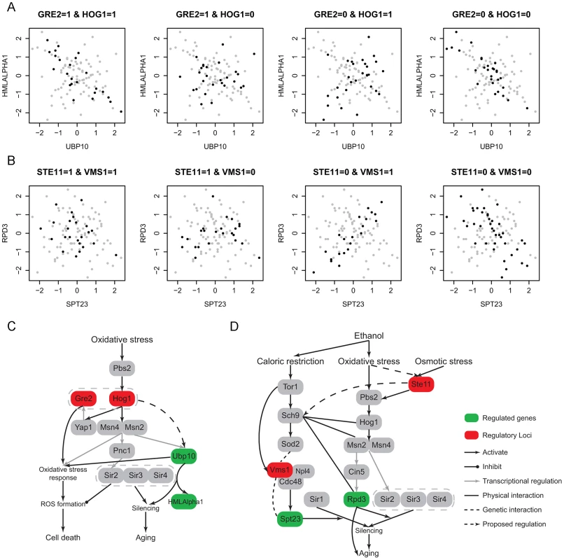 Ethanol modulates aging-related modules through oxidative stress response pathway.