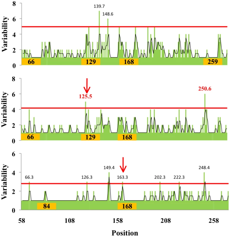 Relationship between amino acid variability and presence of glycosylation sites in H3 globular domain.