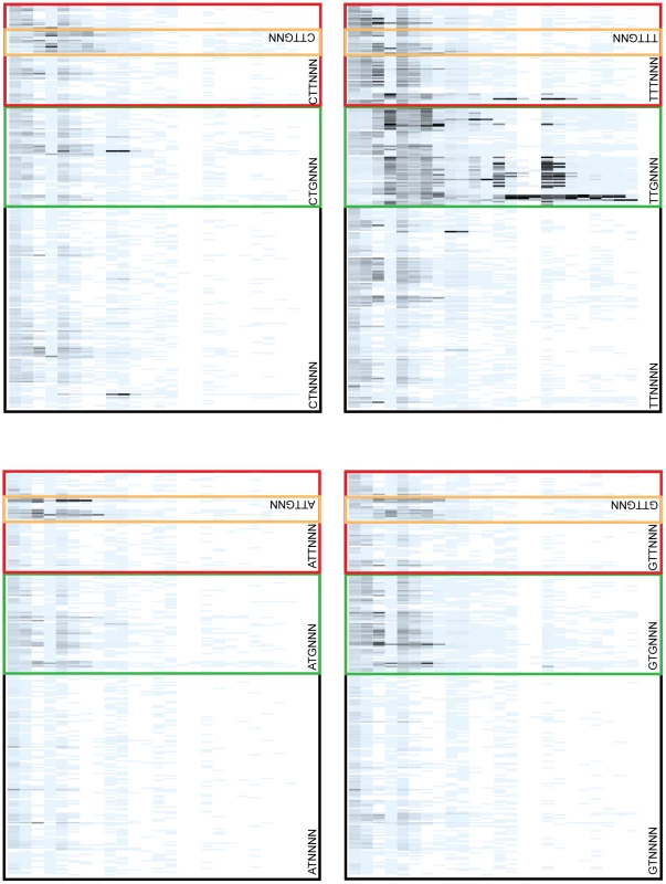 Expanded regions of functional sequence clusters.
