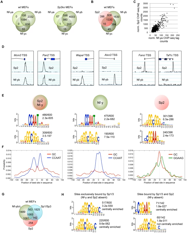 The majority of the Sp2 binding sites are also bound by the heterotrimeric transcription factor Nf-y.
