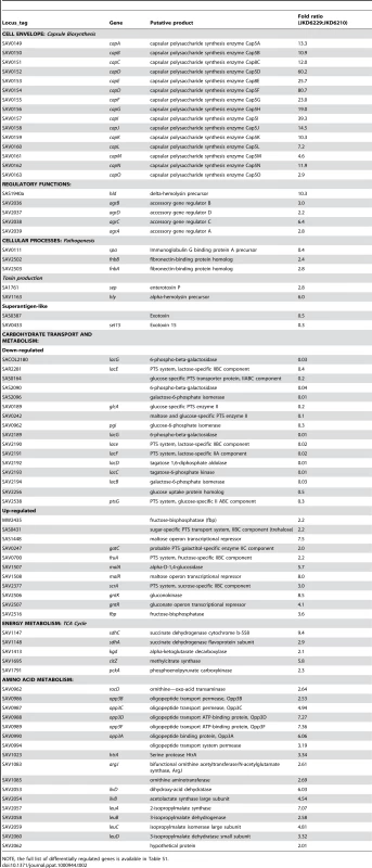 Selected genes differentially regulated in JKD6229 compared to JKD6210 based on microarray transcriptional analysis.