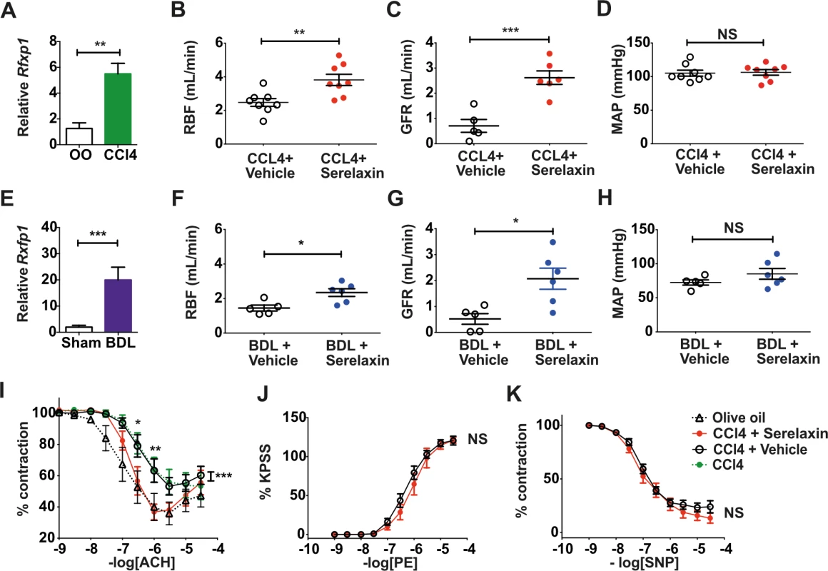 Effect of 72-h serelaxin infusion on renal perfusion and renovascular responses in cirrhotic rats.