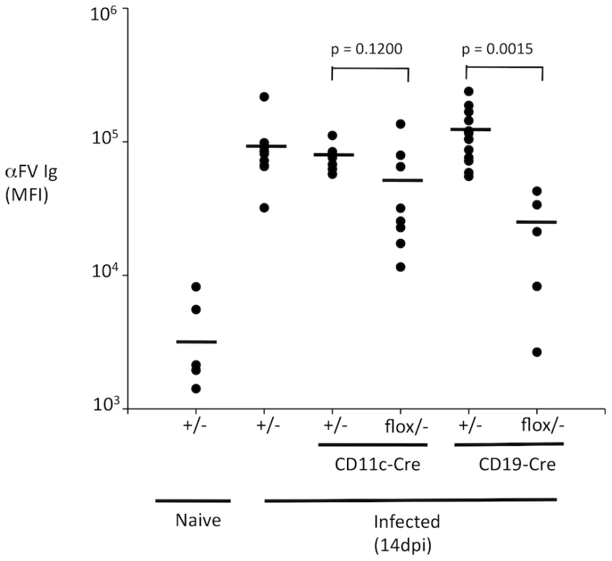 B cell-intrinsic TLR signaling is required for an antibody response to FV.