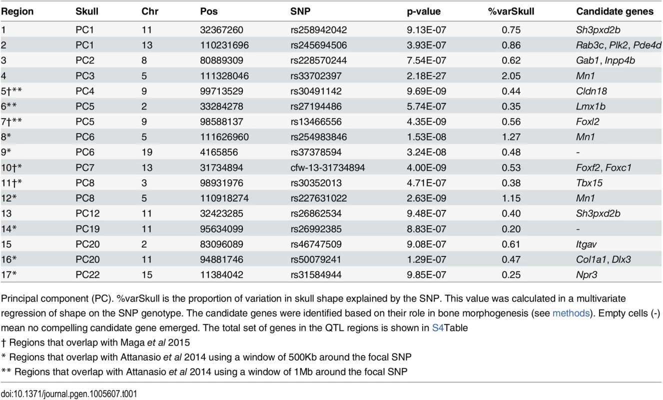 SNPs associated with skull phenotypes (PCs).