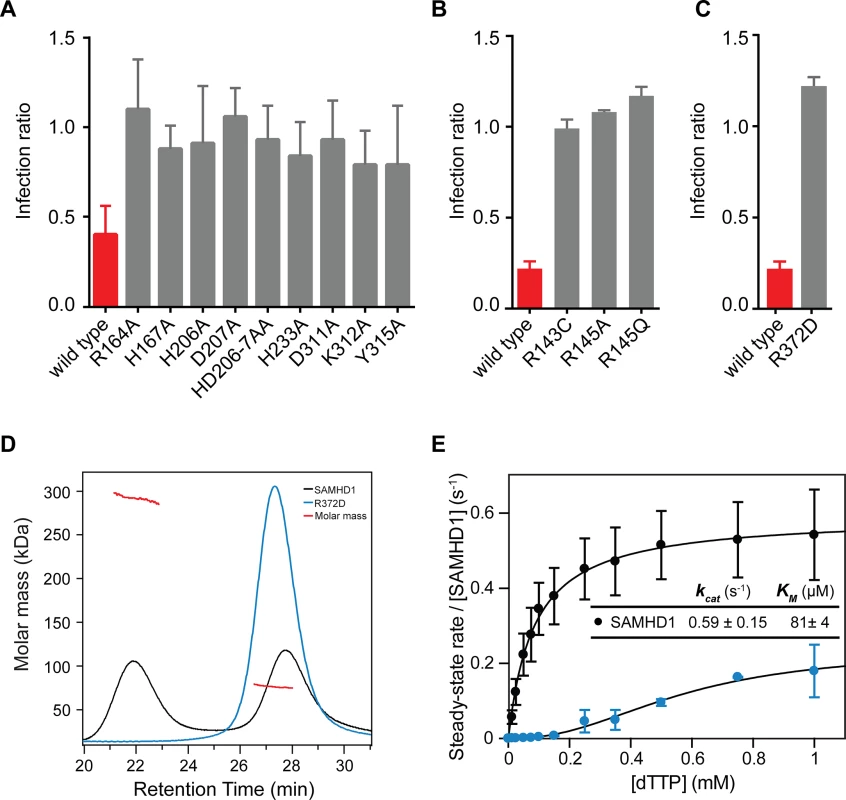 Restriction by active site, allosteric site and tetramer mutants.