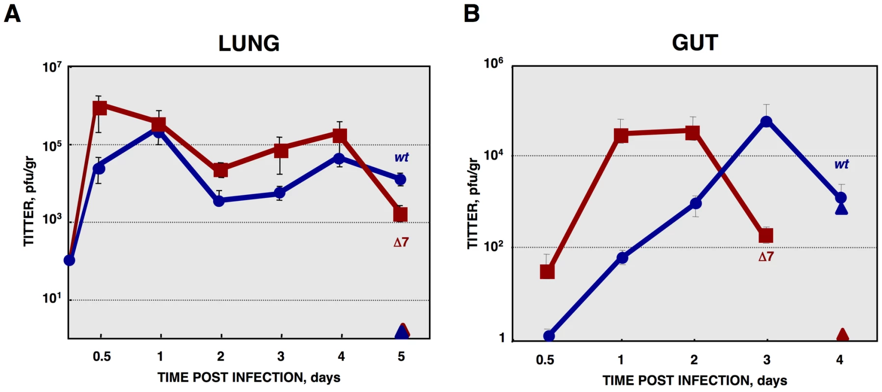 <i>In vivo</i> growth kinetics of rTGEV-Δ7 virus.