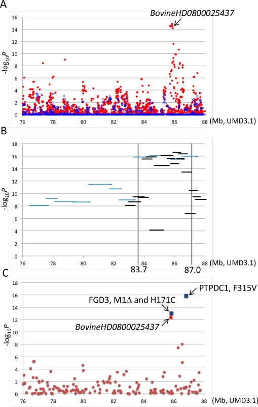 Association analyses using imputed BovineHD genotypes (A), segments of the identical-by-descent (IBD) <i>Q</i> haplotype (B), and candidate causative variations (C).
