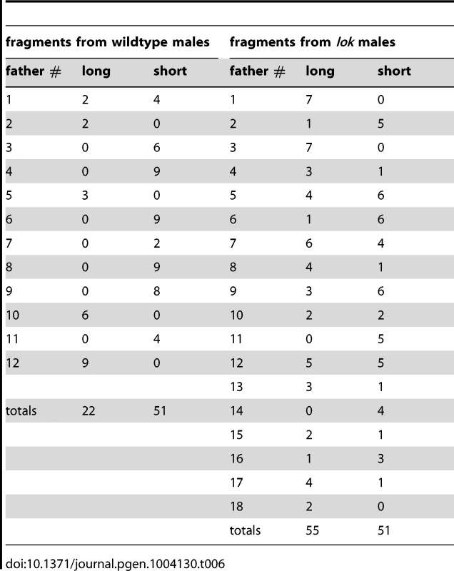 Long and short <i>FrYs</i> produced by individual males.