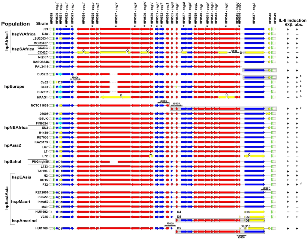 Conservation of the <i>cag</i>PAI genetic organization across <i>H. pylori</i> biogeographic populations.