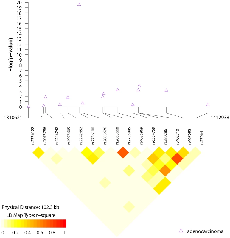 LD structure and association results for the chr5p15 region and lung adenocarcinoma.