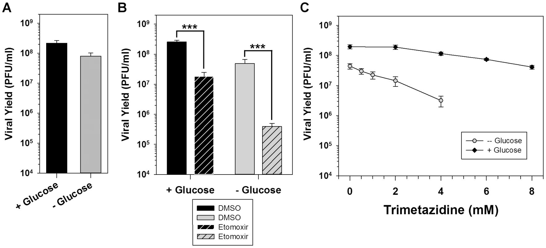 Palmitate is utilized within mitochondria for energy production via ß-oxidation.