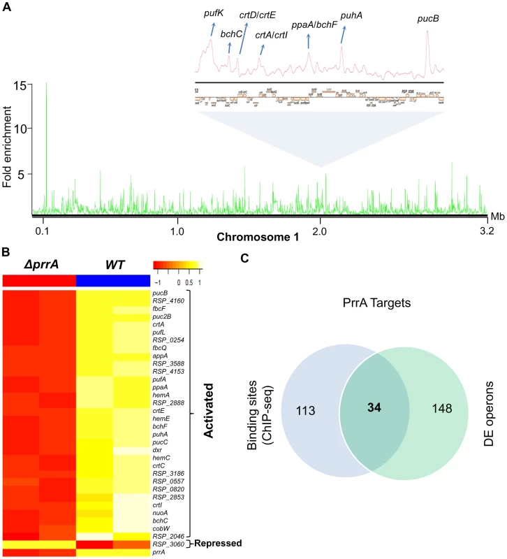Analysis of the PrrA regulon in <i>R. sphaeroides</i>.