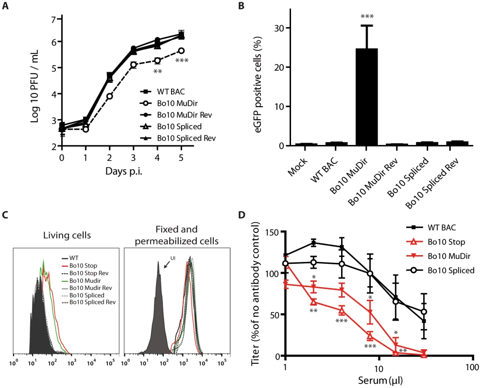 Bo10 mRNA splicing determines phenotype of BoHV-4 virions.