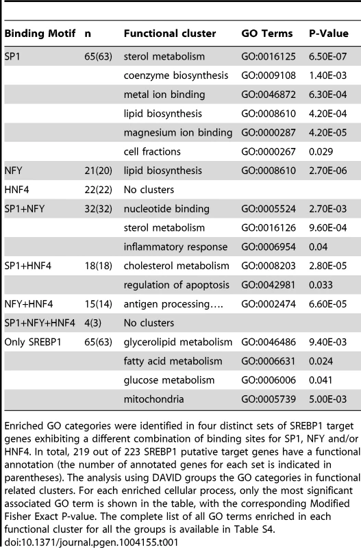 Functional annotation clustering of putative SREBP1 targets using DAVID tools.