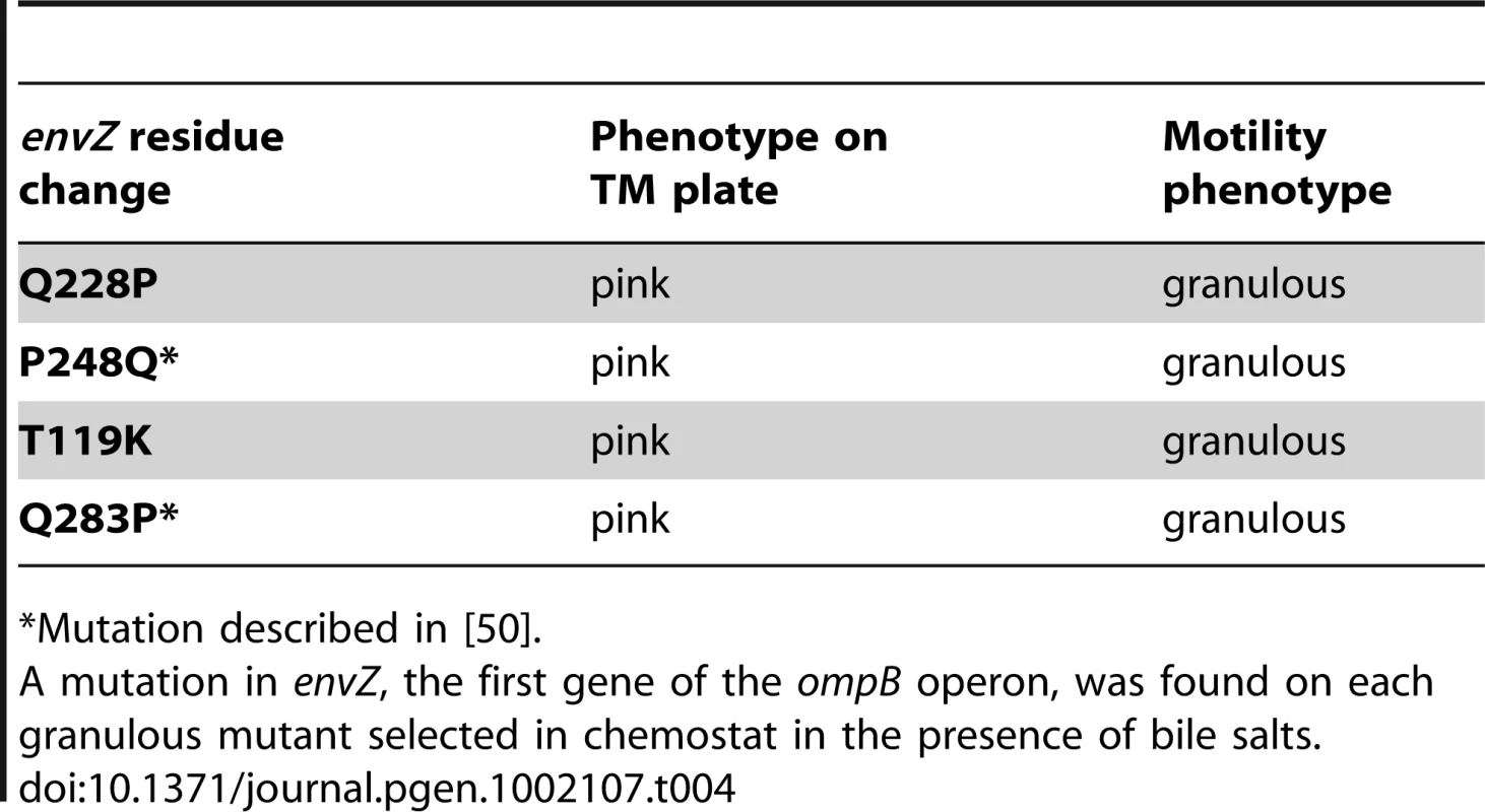 Mutations in ompB selected in chemostats with bile salts.