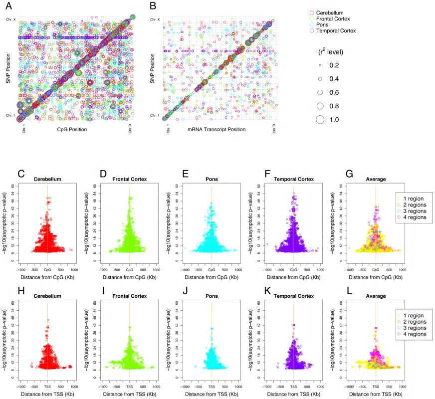 Quantitative trait loci (QTL) for CpG methylation (methQTL), mRNA expression (eQTL) in four brain regions.