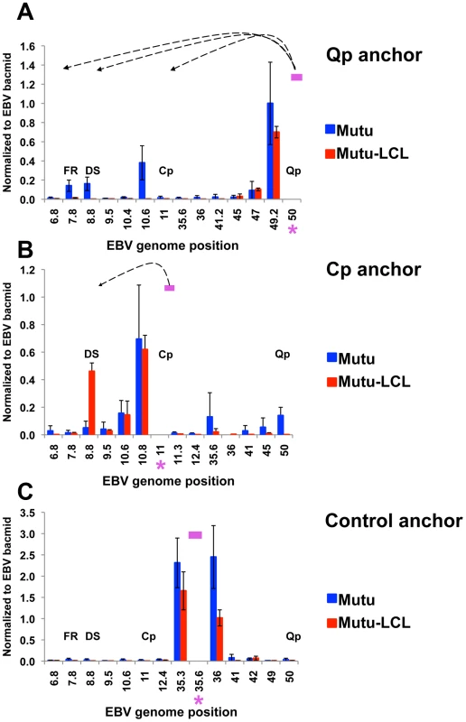 Quantitative 3C analysis confirms alternative loop formation between type I and type III latency types.