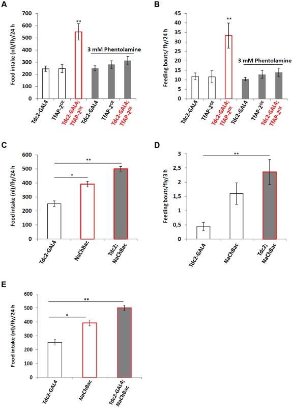 Octopamine regulates feeding behavior.